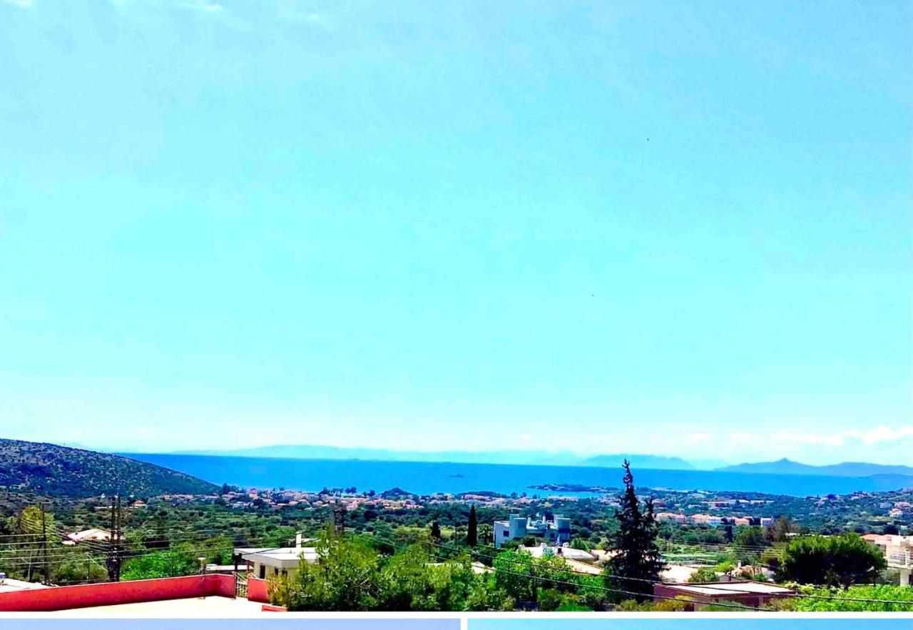 Athens Riviera Grand Panoramic Villa Lagonissi 拉格尼西 外观 照片