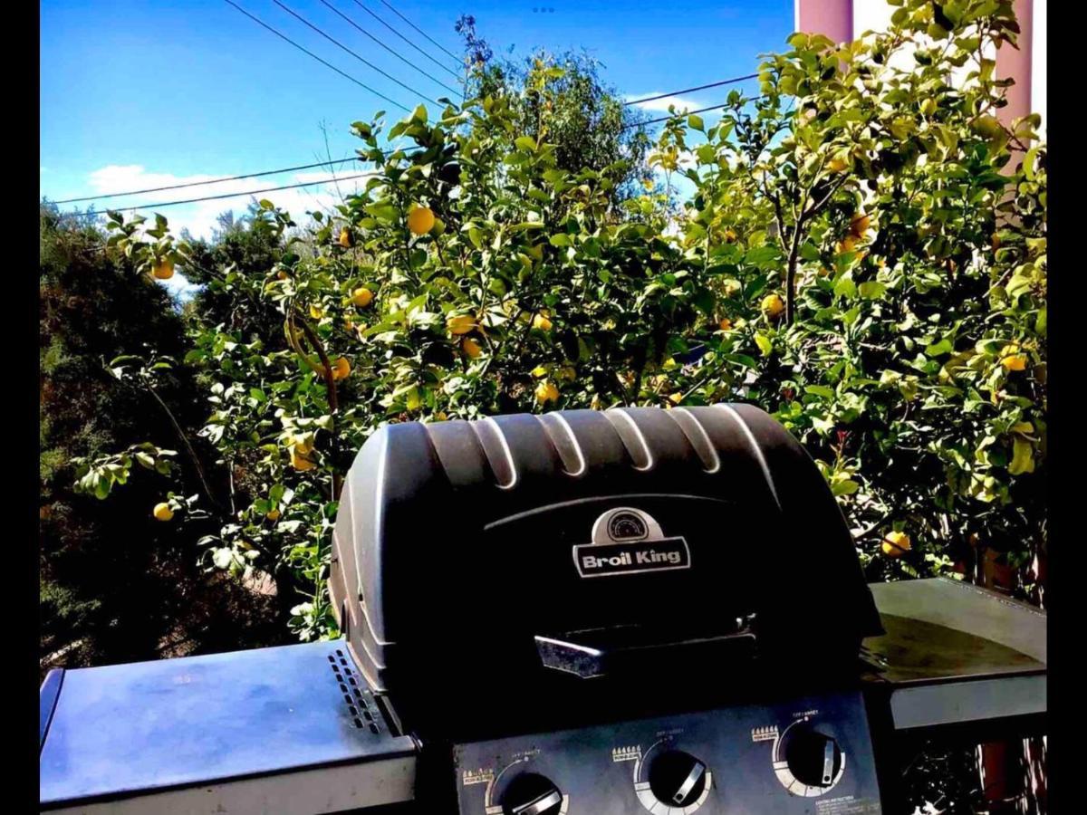 Athens Riviera Grand Panoramic Villa Lagonissi 拉格尼西 外观 照片